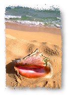 Foto de playa.jpg